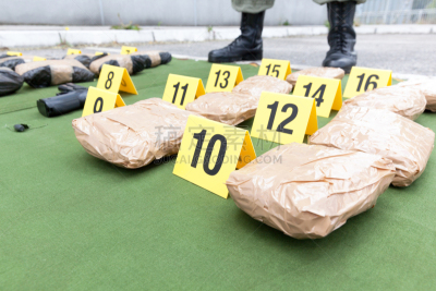 警官,警卫人员,克服困难,捕获的,暴力,图像,水平画幅,塞尔维亚,水晶,海关