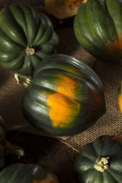 acorn squash,生食,有机食品,绿色,垂直画幅,葫芦,素食,无人,南瓜属,农作物