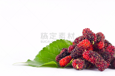 叶子,食品,水果,浆果,桑椹,白色背景,分离着色,果汁,水平画幅