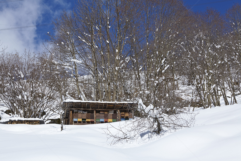 雪,蜂箱,瑞士,野玫瑰木炭窑,提契诺州,大盆地国家公园,寒冷,水平画幅,无人,凹陷地形