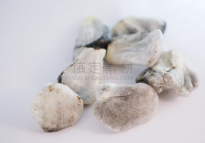 油炸玉米饼,传统,蔬菜,厚的,华贵,食品,图像,疙瘩,肮脏的,蘑菇