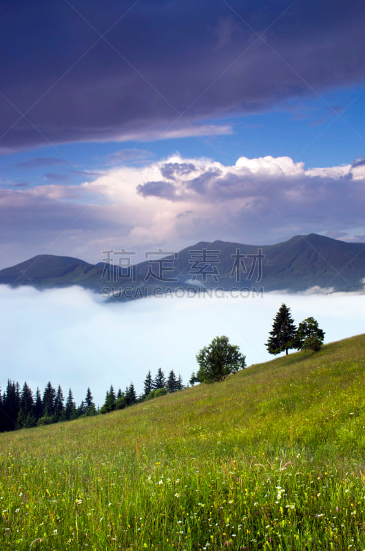 山,卡帕锡安山脉,地形,黄昏,乌克兰,高原,特伦钦,垂直画幅,无人,夏天