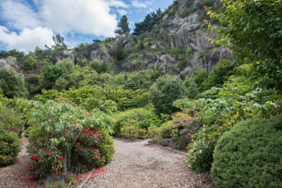 花园路,岩面,天空,枝繁叶茂,岩层,夏天,火山岩,风景,灌木