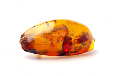 琥珀,胸针,白色背景,分离着色,个人随身用品,美,褐色,古董,水平画幅,古典式