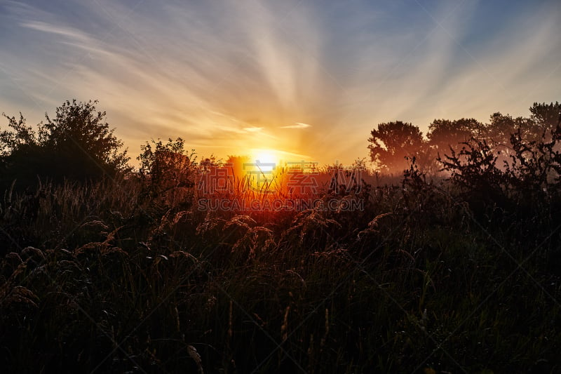 黎明,秋天,自然美,风景,sunrise point,阳光巡回赛,美,褐色,秋分,水平画幅