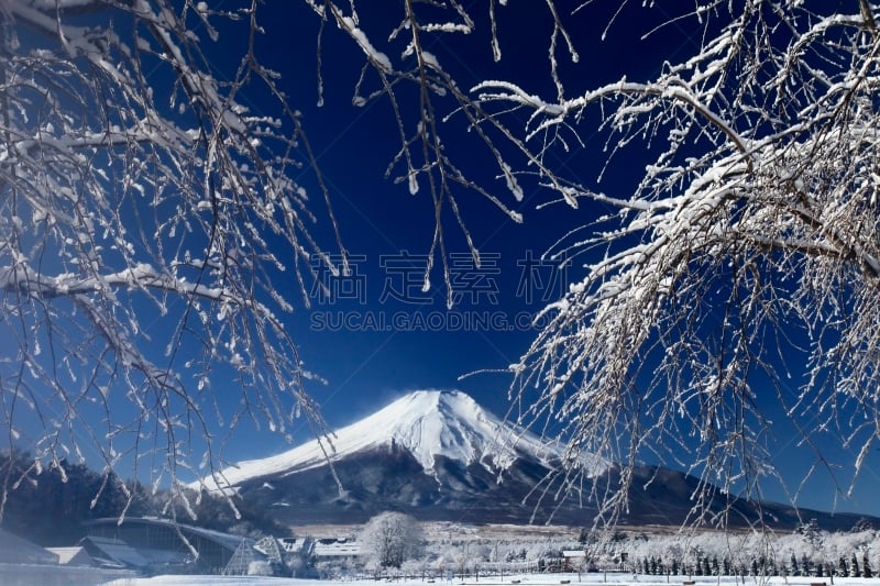 雪,山,富士山,水平画幅,无人,蓝色,日本,圣诞树,户外