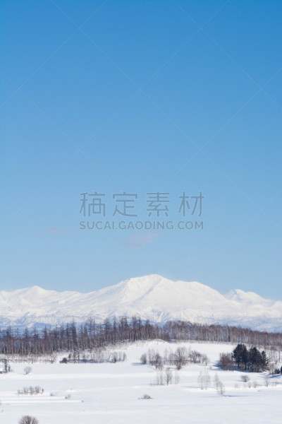 风景,冬天,山,贺卡,旭岳火山,雪,日本落叶松,白桦树,深雪,背景