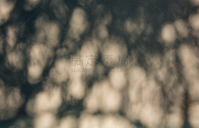 阴影,柏油路,复叶,乌克兰,图像,日光,叶子,无人,墙,植物