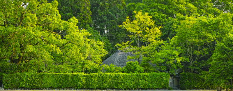 京都市,地形,北岳山,幻想,屋顶,小农地,嵯峨野,岚山,茅屋屋顶,五月