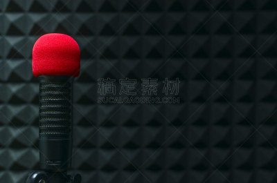 麦克风,水平画幅,收音机,电台节目主持人,工作室,传媒,俄罗斯,摄影,传播,交流