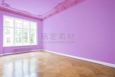 硬木地板,公寓,空的,住宅房间,现代,壁画,新艺术主义,1900年至1909年,天花板,道路工程