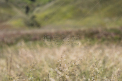 南美大草原,背景幕,山,天空,bromo-tengger-semeru national park,夏天,草,塞梅鲁火山,热带气候,风景