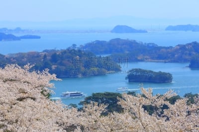 松岛,樱花,背面视角,公园,妈祖,天空,水平画幅,无人,户外,海滩