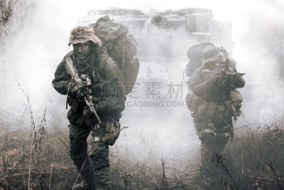奥地利,联邦大楼,步兵,德国,水平画幅,炮,美洲豹,图像,监视,摄影