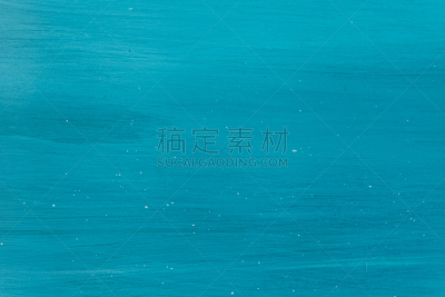 木制,胡椒牛肝菌,欧亚家燕,水平画幅,无人,俄罗斯,摄影