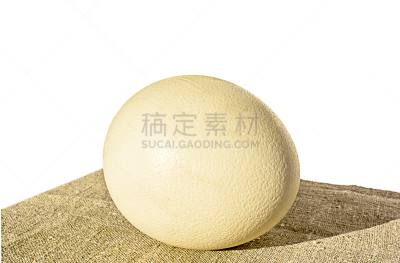 鸵鸟蛋,餐巾,平衡折角灯,鸵鸟,褐色,新的,水平画幅,纺织品,无人,鸟类