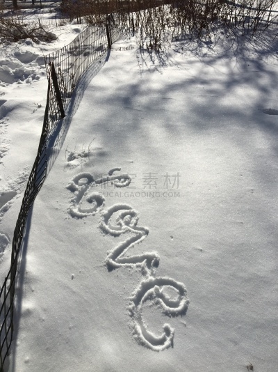 雪,恋爱集会,寒冷,城市生活,旅途,单词,纽约,环境,霜,公园
