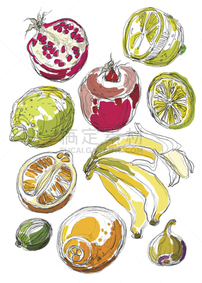 水果,绘画插图,凤梨番石榴,清新,背景分离,热带气候,食品,铅笔,橙子,柠檬