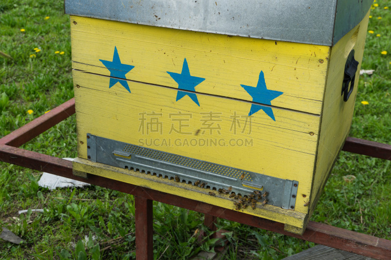 蜜蜂,蜂箱,前面,地形,户外,蜂蜡,自然界的状态,环境,农业,自然