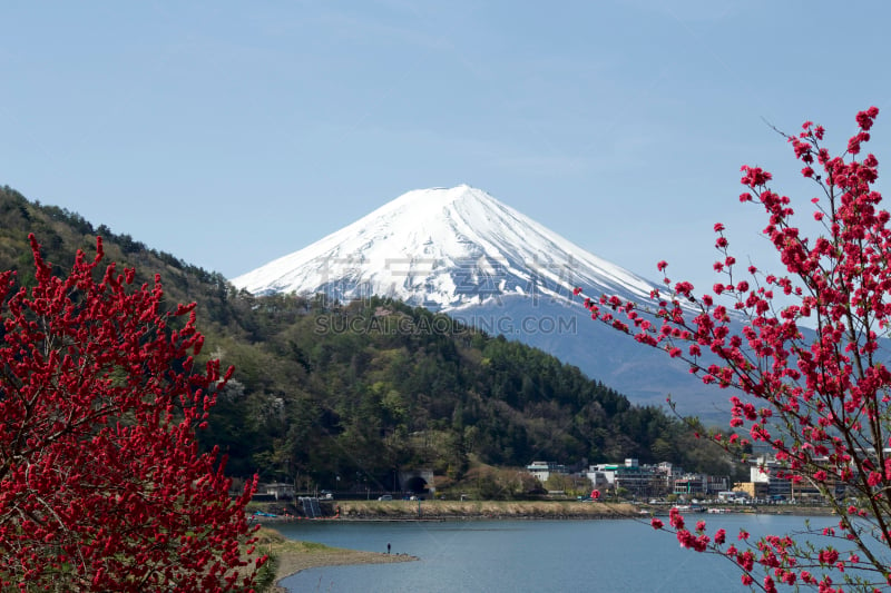 富士山,看风景,春天,湖,富士吉田,桃花,河口湖,富士河口湖,山梨县,天空