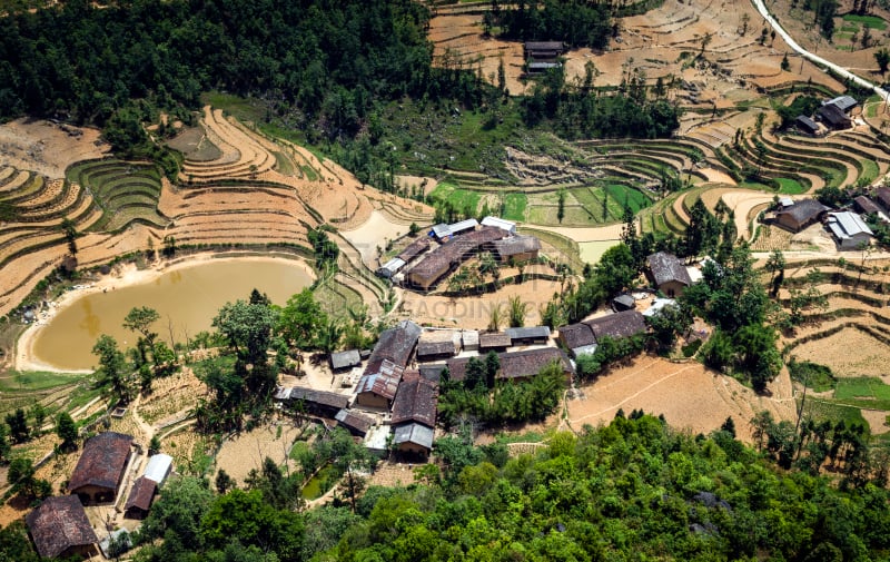 越南,乡村,北,农业,旅途,米,草,著名景点,稻田,农场