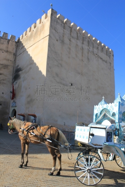摩洛哥,梅克内斯 ,马轿,婚礼,垂直画幅,无人,马,麦地那区,马车,摄影