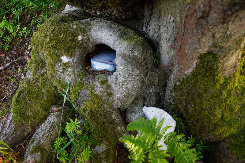 地理寻宝,塑料容器,水平画幅,枝繁叶茂,山,户外,方向,容器,极端地形,树干