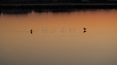 非凡的,马略卡,盐滩,地形,西班牙,科洛尼亚,俄亥俄河,剪影,日落,逆光