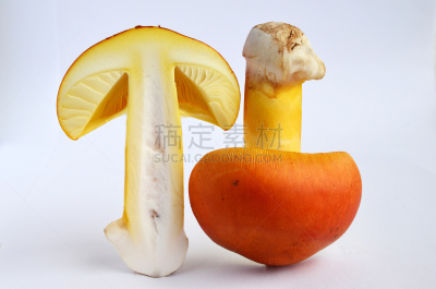 奥古斯都,食品,蘑菇,欧洲赤松,该撒利亚,鹅膏菌,水平画幅,食品杂货,无人,夏天