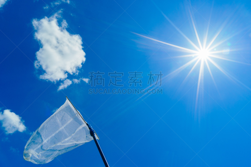 蝴蝶网,网,天空,昆虫,航拍视角,海洋,自由式滑雪空中技巧,编队飞行,陷阱,个人随身用品