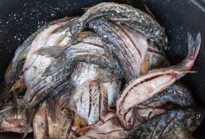 盐渍食品,社区,尼罗河,盐瓶,动物皮,水平画幅,非洲,生食,海产,动物身体部位