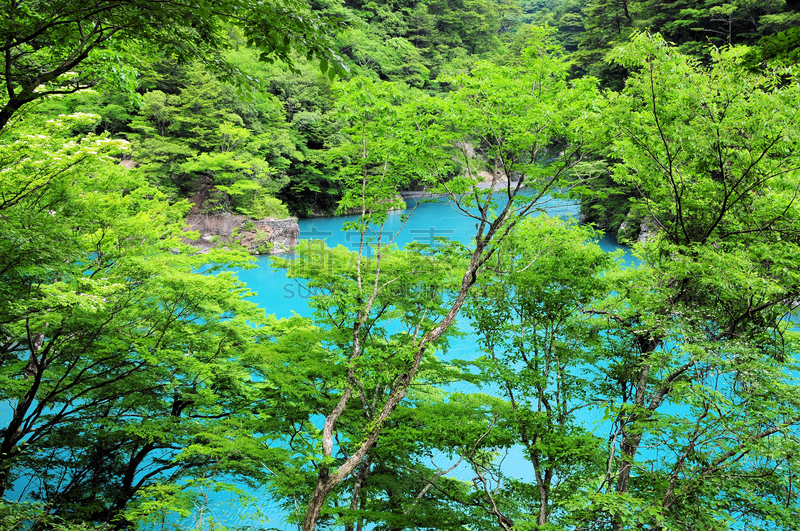 水,沟壑,水平画幅,枝繁叶茂,无人,夏天,户外,湖,著名自然景观,树林