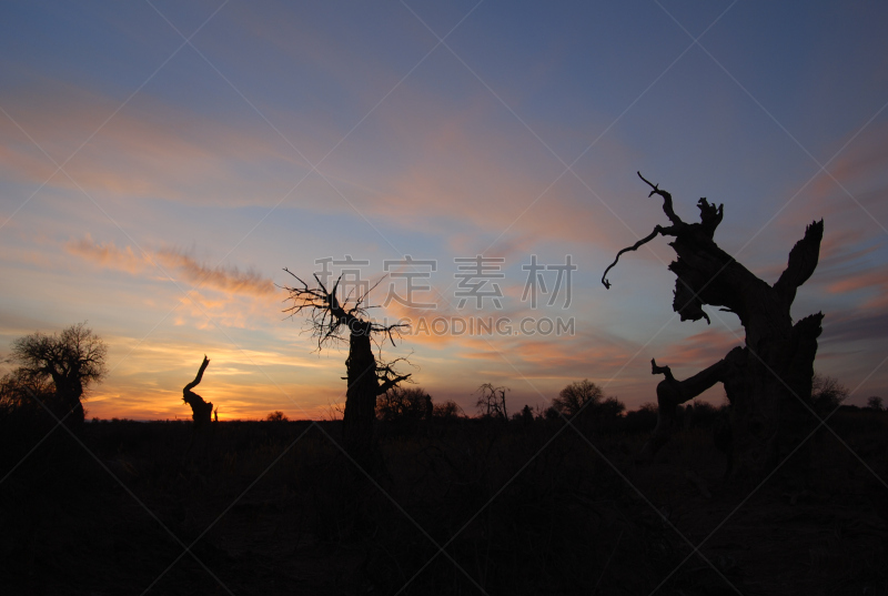 沙漠绿洲,夜晚,天山山脉,丝绸之路,水平画幅,无人,阴影,户外,干的,云景