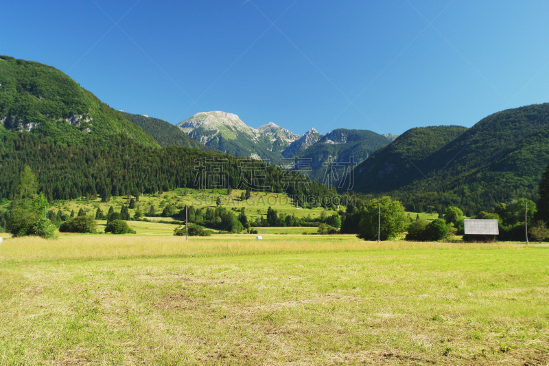 特里格拉夫国家公园,lake bohinj,波悉尼,julian alps,草地,水平画幅,无人,全景,欧洲,夏天