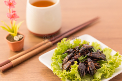 昆虫,格子烤肉,水平画幅,无人,开胃品,膳食,泰国,维生素a,蛆,晚餐