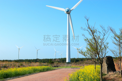 春天,油菜花,樱桃树,广场,秘密,风,云,环境保护,著名景点,韩国