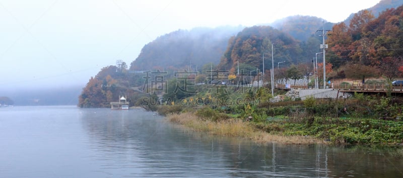 秋天,岛,首尔,水平画幅,旅行者,户外,草,植物,国内著名景点