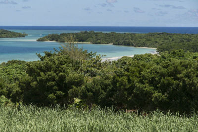 石垣岛,冲绳县,田地,甘蔗,海湾,纯净,色彩鲜艳,水湾,户外,晴朗