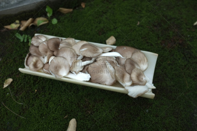 蘑菇,竹子,蔬菜,篮子,清新,自然界的状态,背景分离,食品,泰国,成分