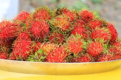 有机食品,红毛丹,菜园,自然,水平画幅,水果,维生素,特写,甜点心,红色