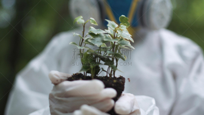 生物化学家,植物,拿着,小的,细菌学者,生态学家,生物学家,保护服,医学检测,微生物学
