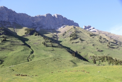 山口,阿拉维斯山脉,la clusaz,塔宏德斯,环法自行车赛,萨瓦,上萨瓦,罗纳-阿尔卑斯,水平画幅,巨大的