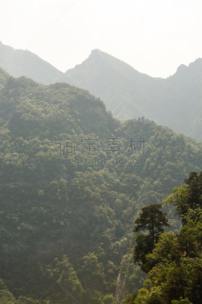武当山,风景,武术,湖北省,道教,垂直画幅,修道院,旅行者,夏天,屋顶