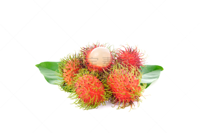 水果,红毛丹,白色背景,自然,头发,水平画幅,特写,泰国,甜点心,红色