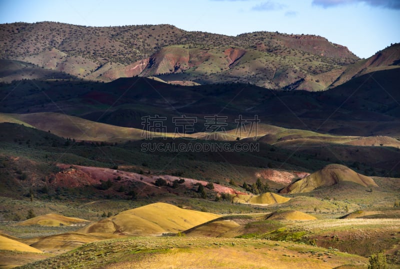 红松,沙丘,黄色,白昼,约翰时代河,多彩沙漠,画山,化石遗址,河岸区,河漫滩