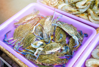 清新,螃蟹,冰桶,鱼市,待售,食品,野生动物,餐馆,背景,爪