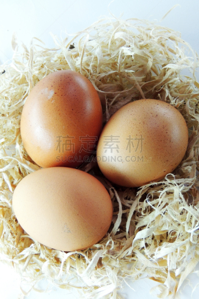 鸡,鸡蛋,动物的巢,农业,复活节,清新,食品,煮食,农场,家禽