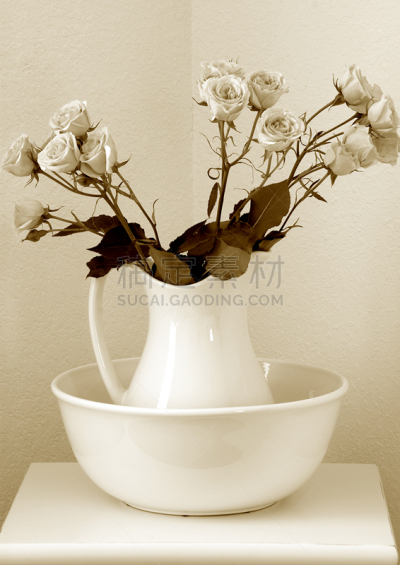 花瓶,棕褐色调,自然,垂直画幅,植物,无人,2015年,花粉,日式洗手盆,室内植物