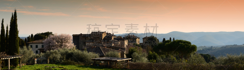 volpaia镇,奇扬第地区,托斯卡纳区,乡村,中世纪时代,意大利,佛罗伦萨,欧亚家燕,巷,天空