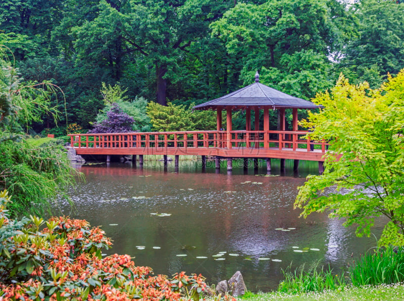 日本,亭台楼阁,桥,风景,红松,渡月桥,水平画幅,星和园,建筑,木制